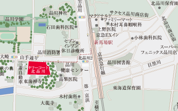 現地拡大図